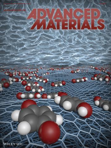 Adv Mat 2013