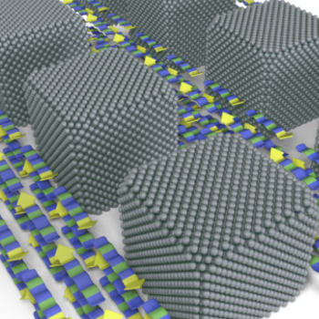 Nanoparticle Ligands